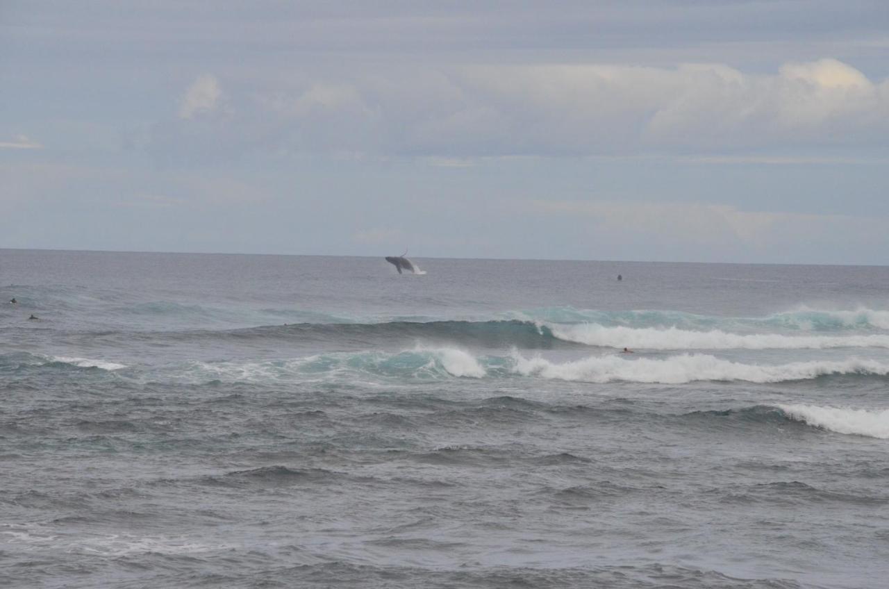Mokule'Ia Beach Houses At Owen'S Retreat ワイアルア エクステリア 写真