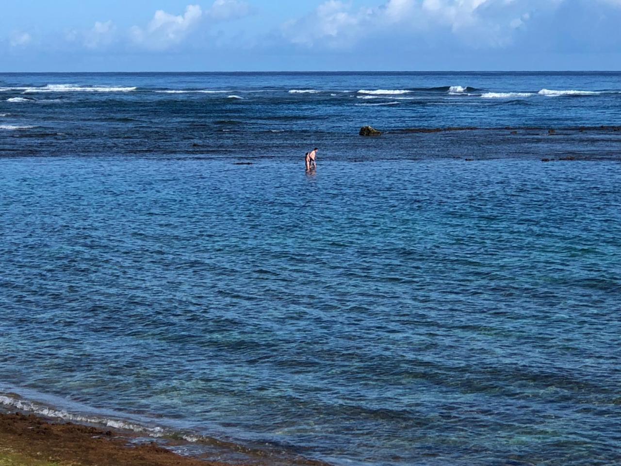 Mokule'Ia Beach Houses At Owen'S Retreat ワイアルア エクステリア 写真